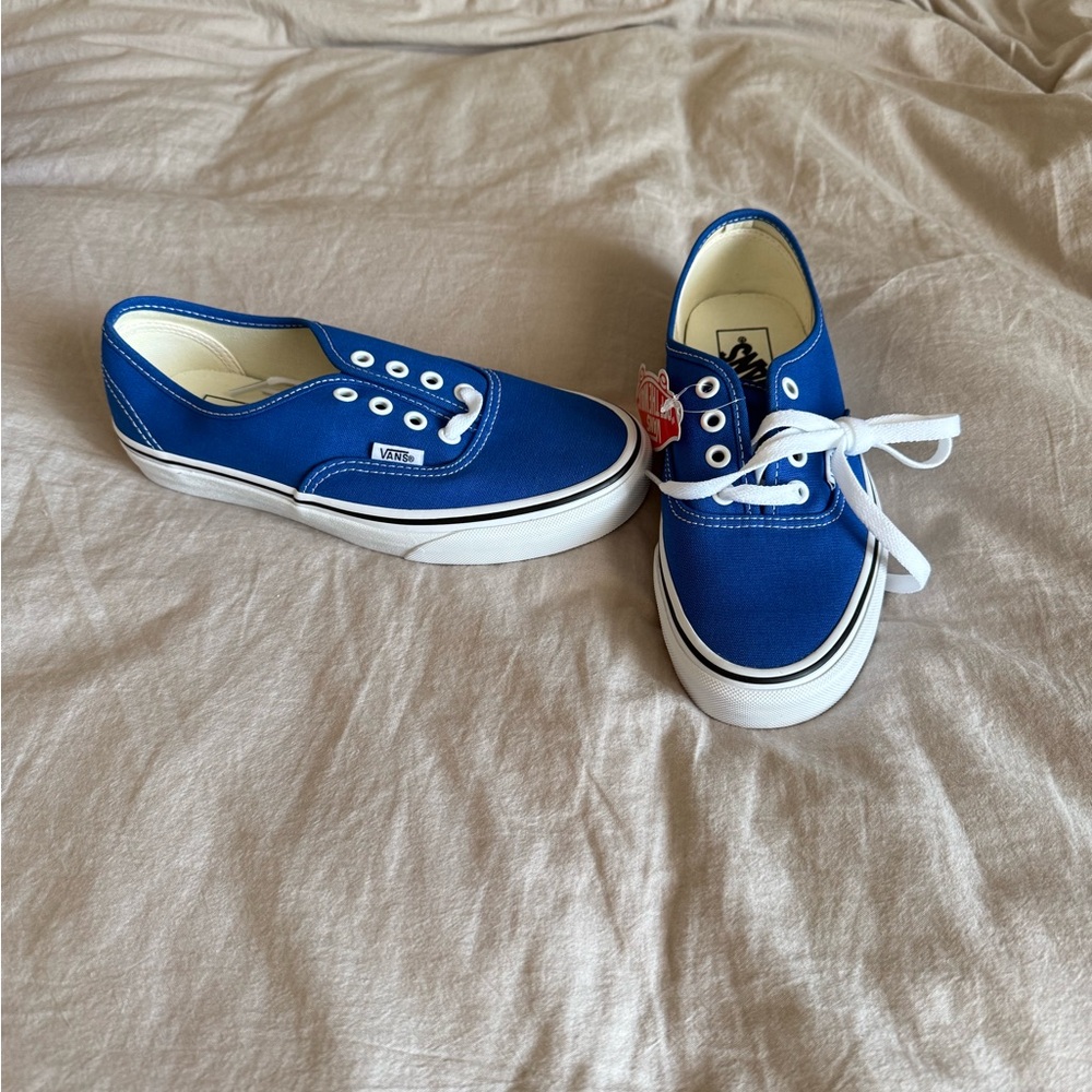 Vans Royal Blue Canvas Shoes